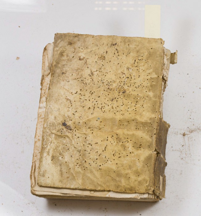 Bottom Cover